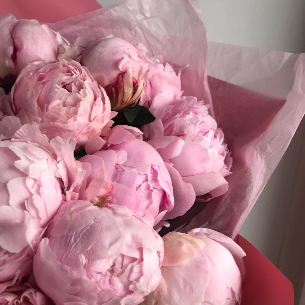 Букет из 15 пионов «Pink 15»