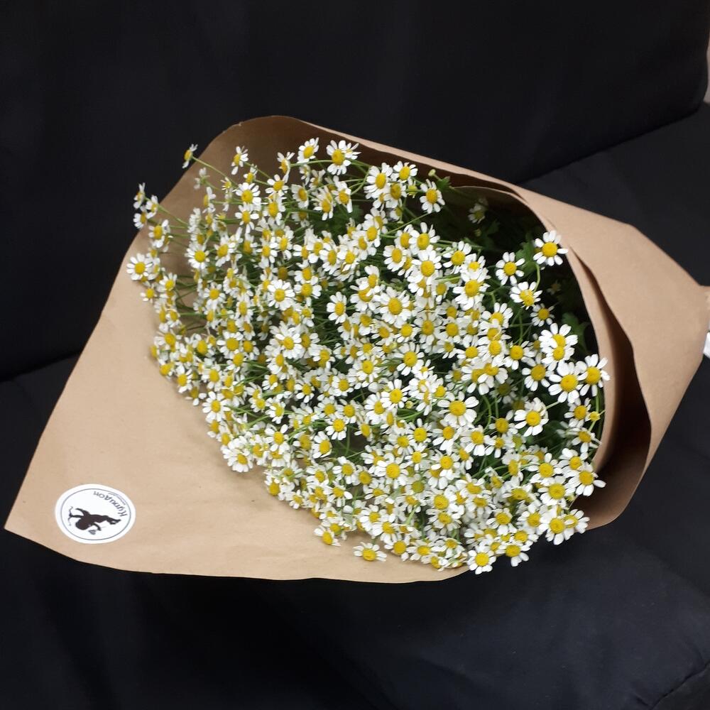 Букет из ромашек