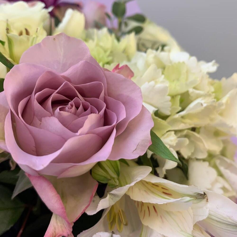 Bouquet