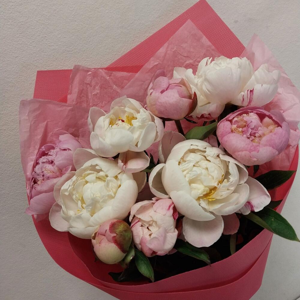 Букет из 9 розовых пионов