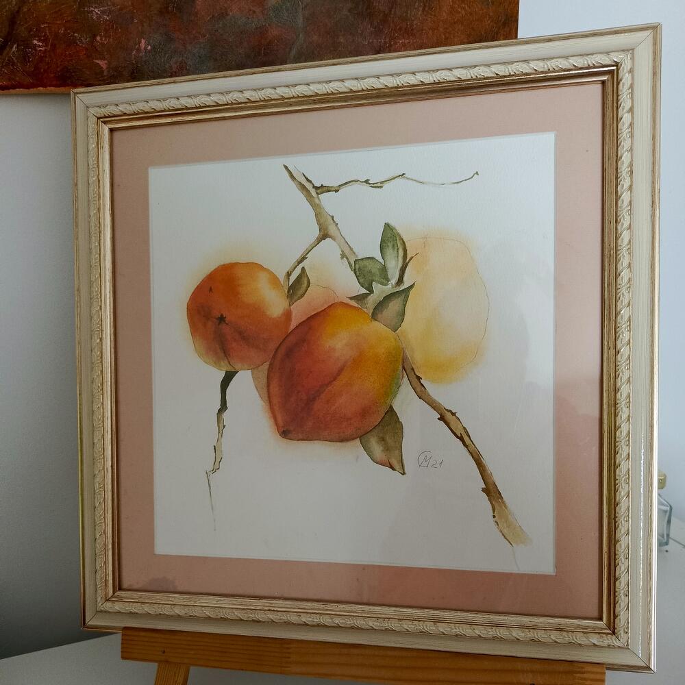 Watercolor painting, persimmon. In the frame