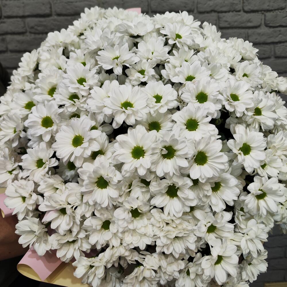 Букет из 31 хризантемы