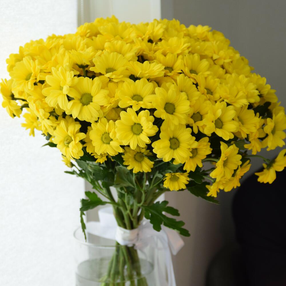 Bouquet of 7 yellow chrysanthemums