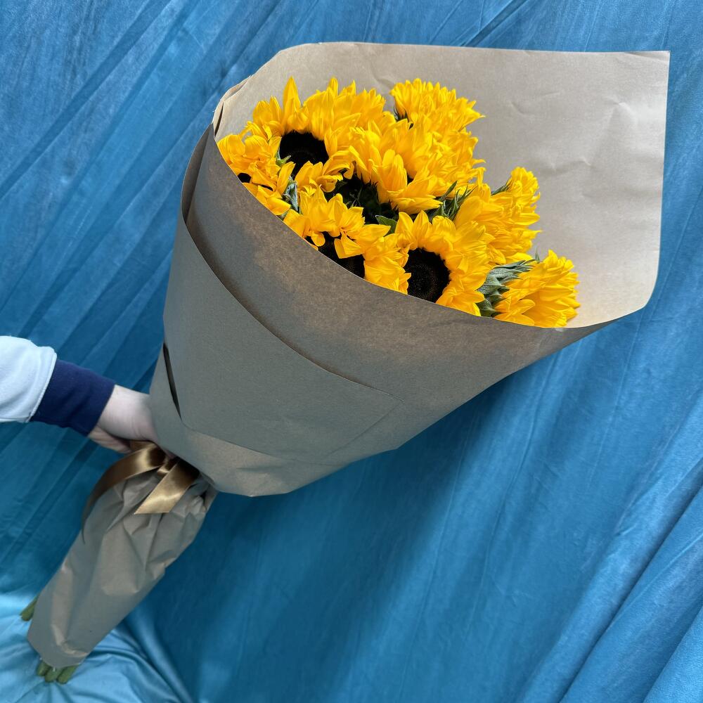 Подсолнухи 🌻 🌻