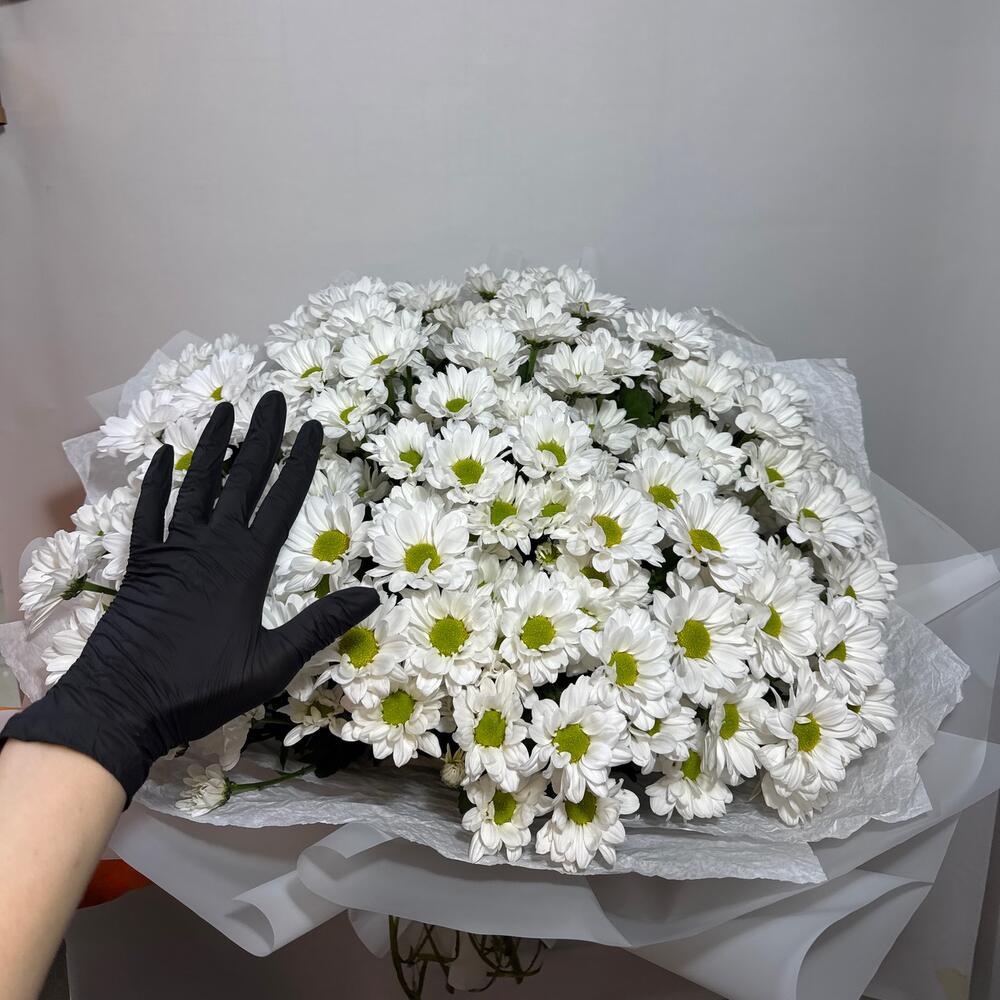 Большое моно из ромашек