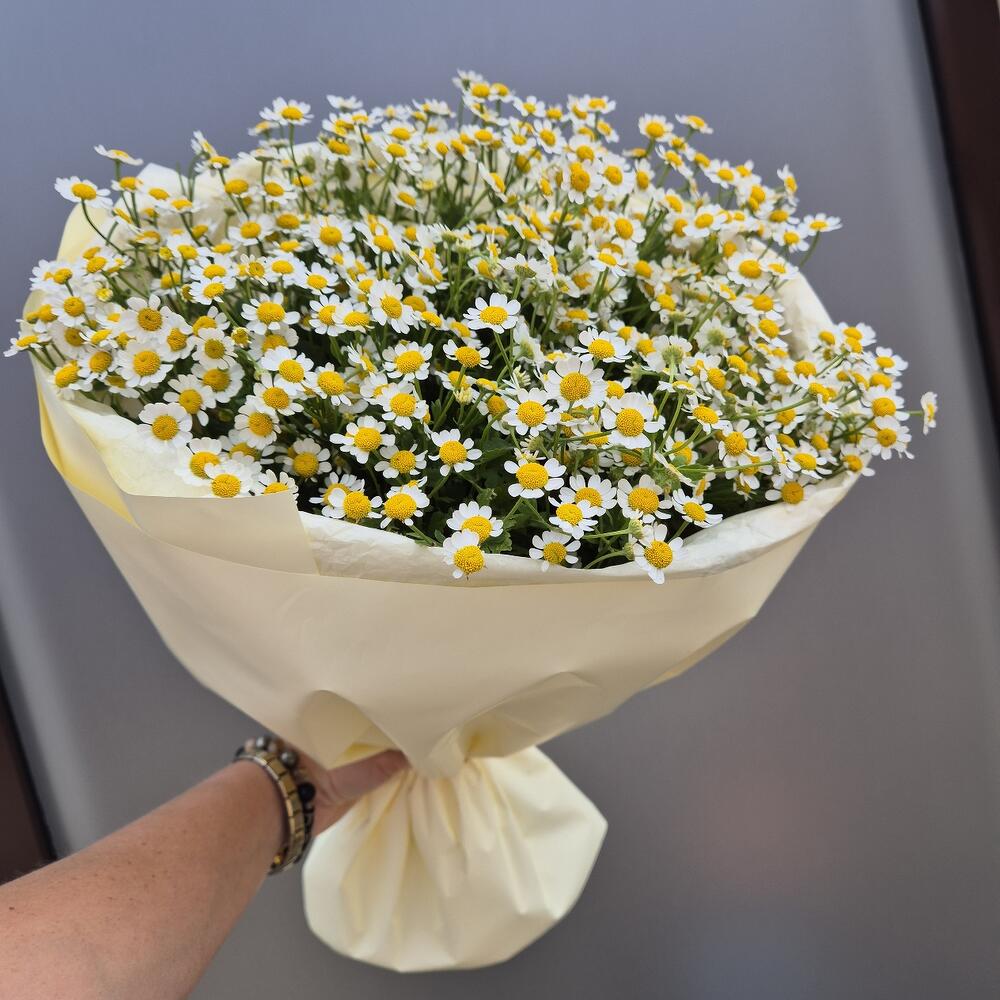 Букет  ромашек