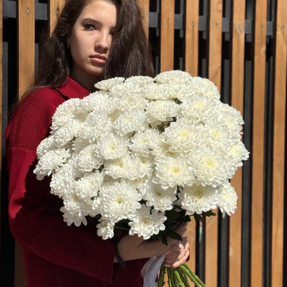 Монобукет из кустовой хризантемы Алтай 17шт
