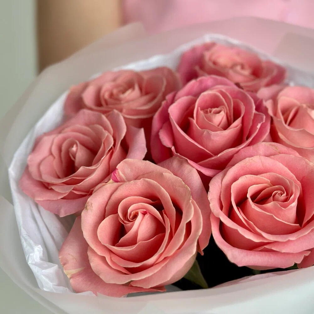 "7 rosas Hermosa" 21