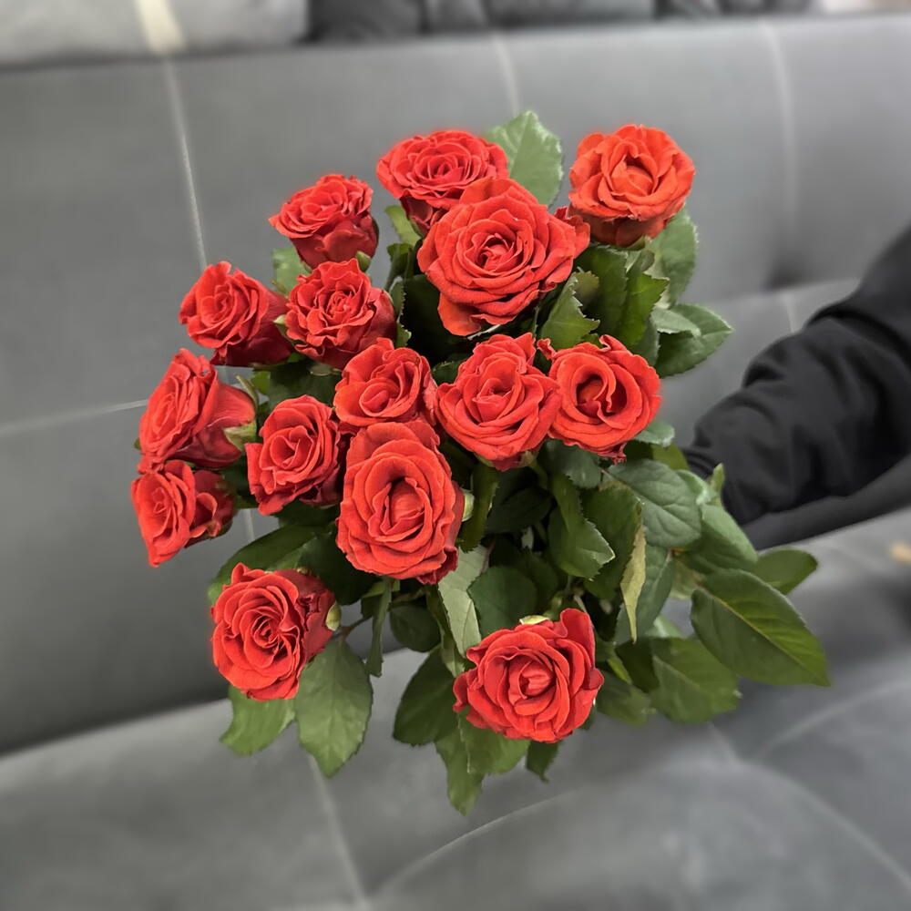 Роза Ажурная Эльторо 15