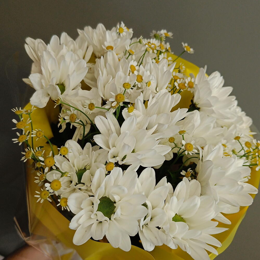 Хризантема с ромашками