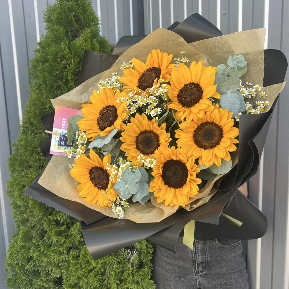 Подсолнух 🌻