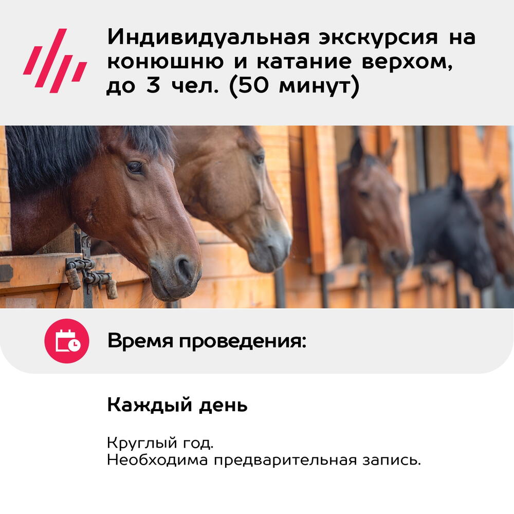 Подарочный сертификат Индивидуальная экскурсия на конюшню и катание верхом, до 3 чел. (50 минут)