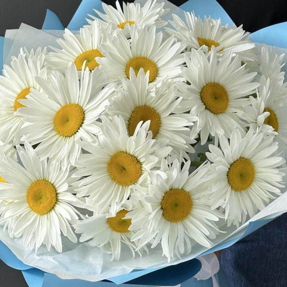 Букет ромашки 😍