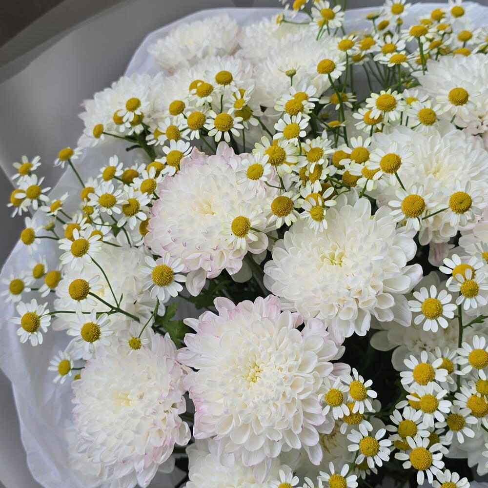 Ромашки для Наташки