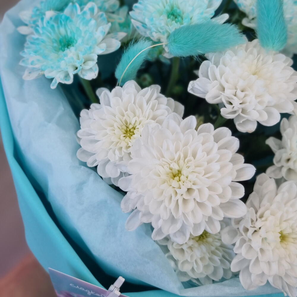 Северное сияние
