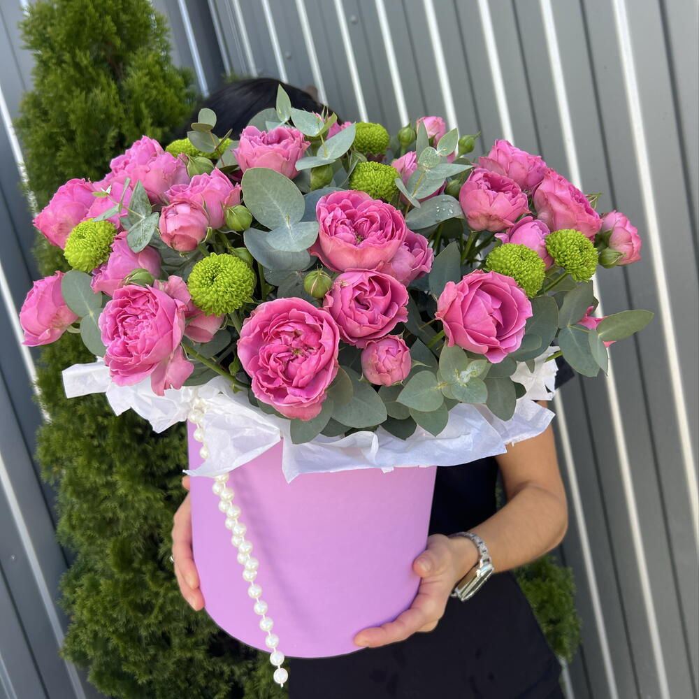 Мисти и пуговка 🌹