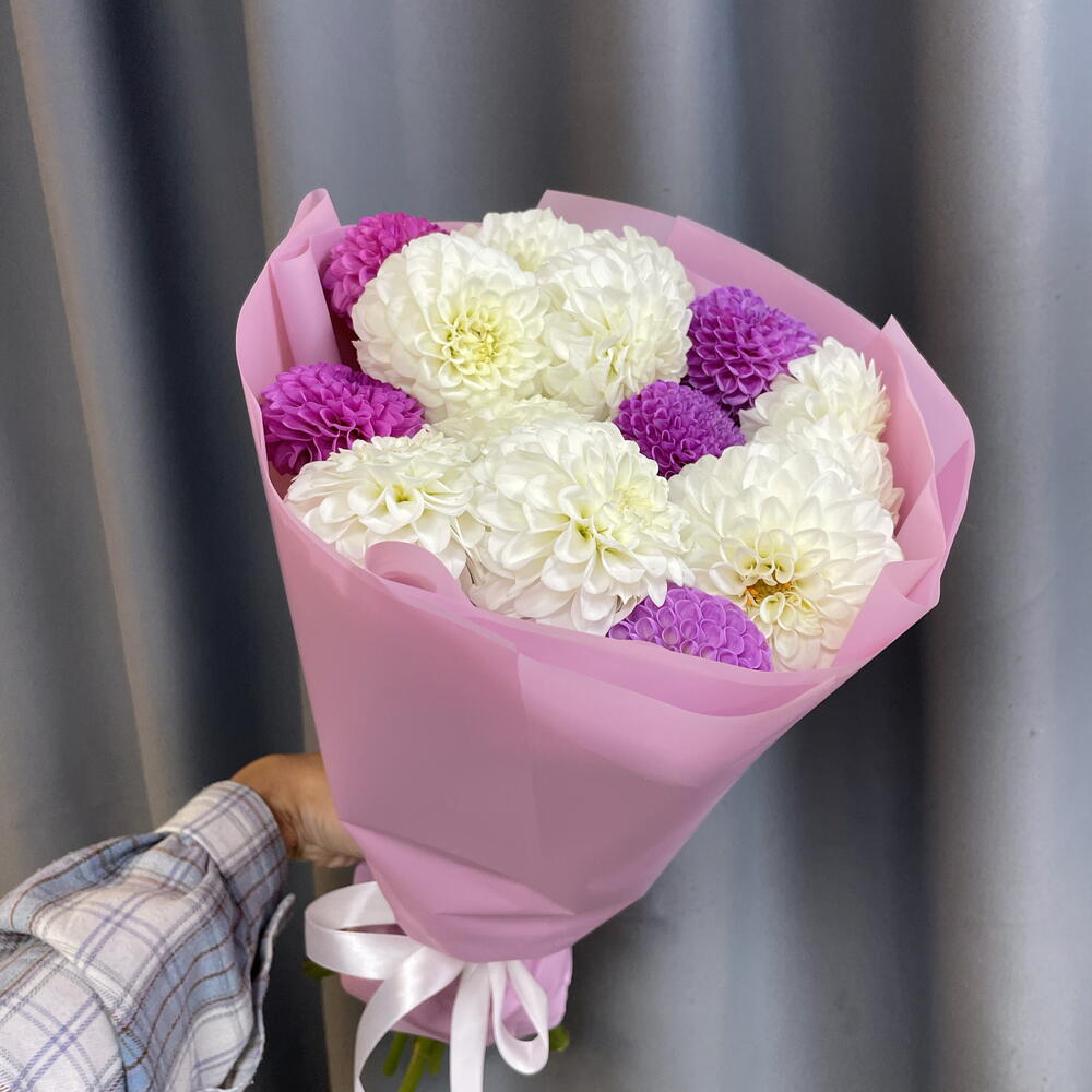 Георгины 15шт