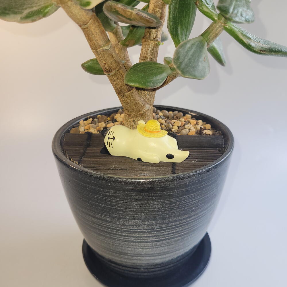 Кошка под деревом