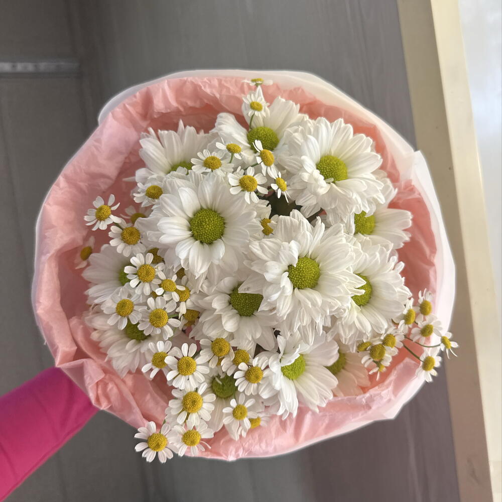 🎀с ромашками