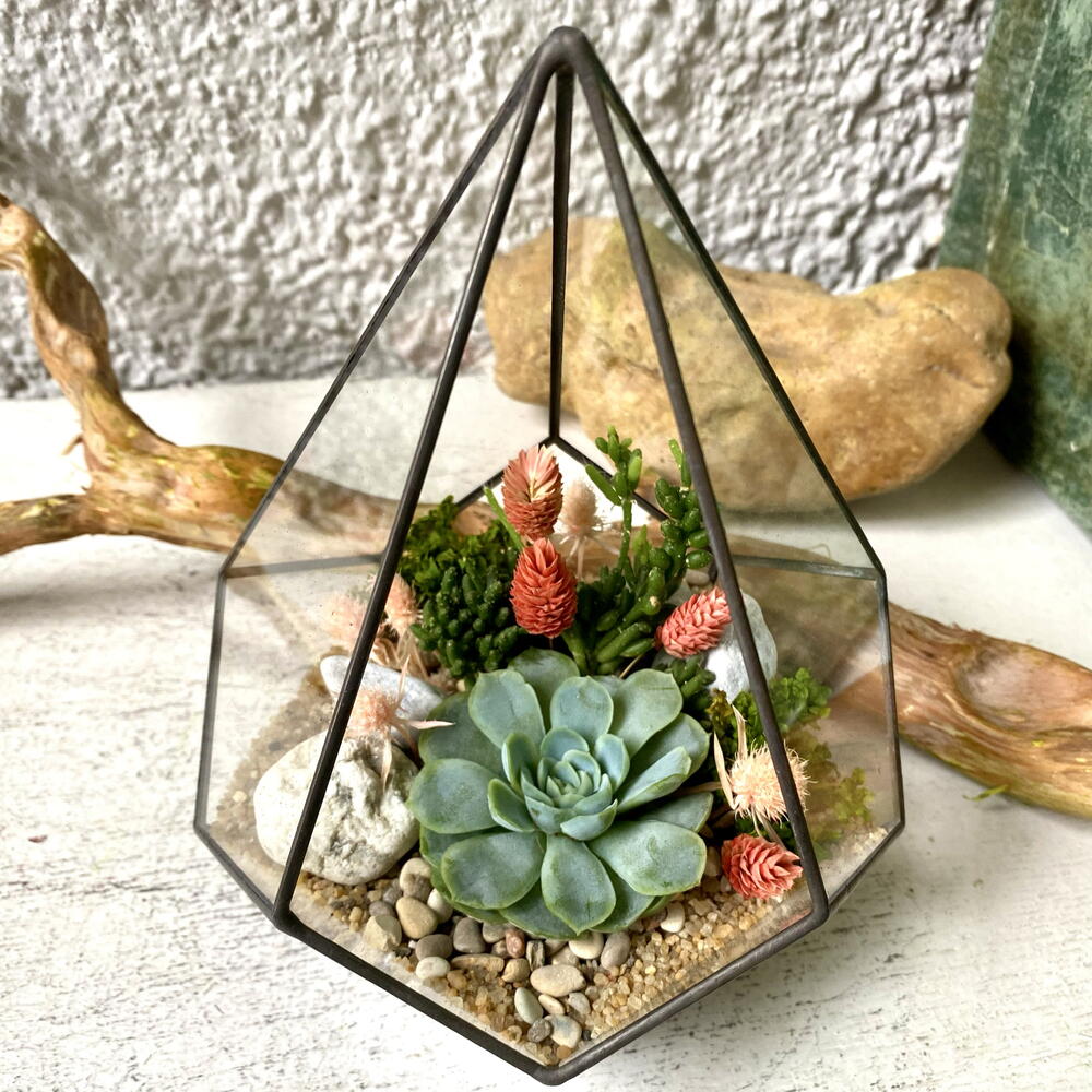 Florarium"Gota"