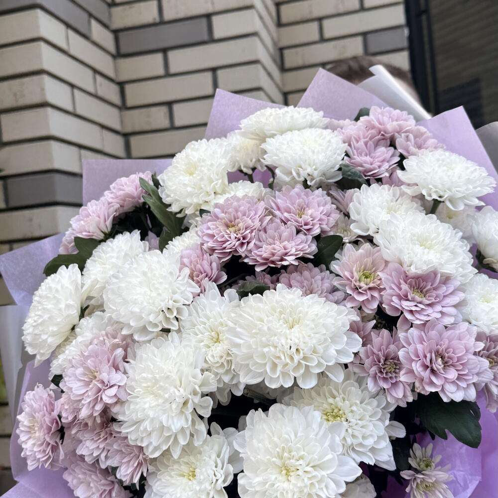 Микс хризантем 9