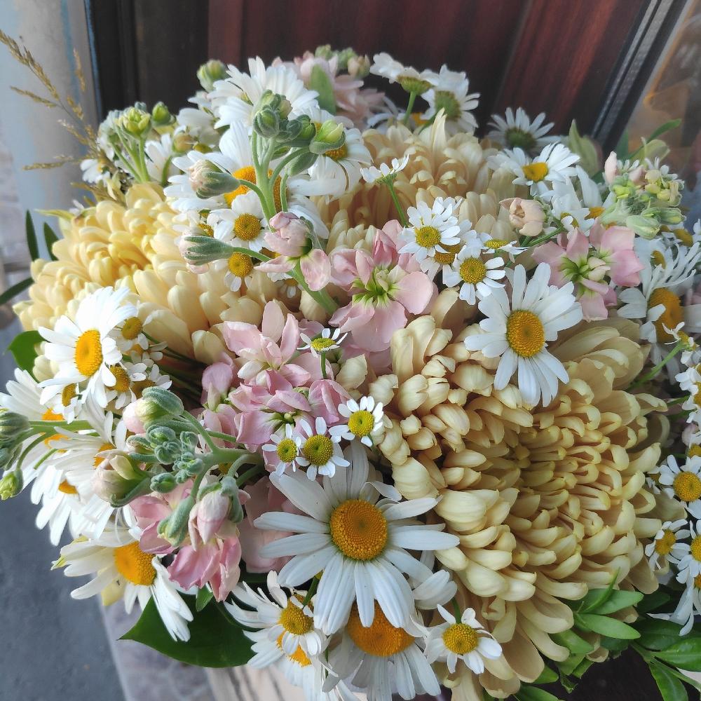 Ромашки в коробке