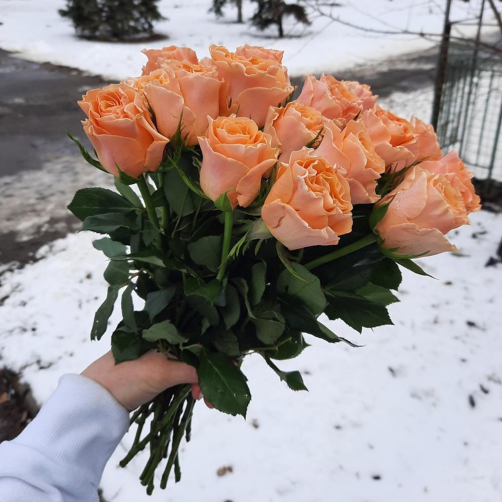 Букет - Солнечная улыбка
