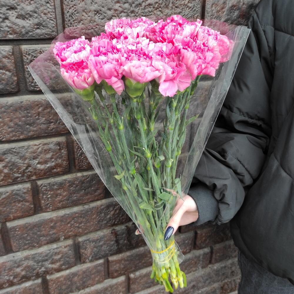 Гвоздика 25 шт