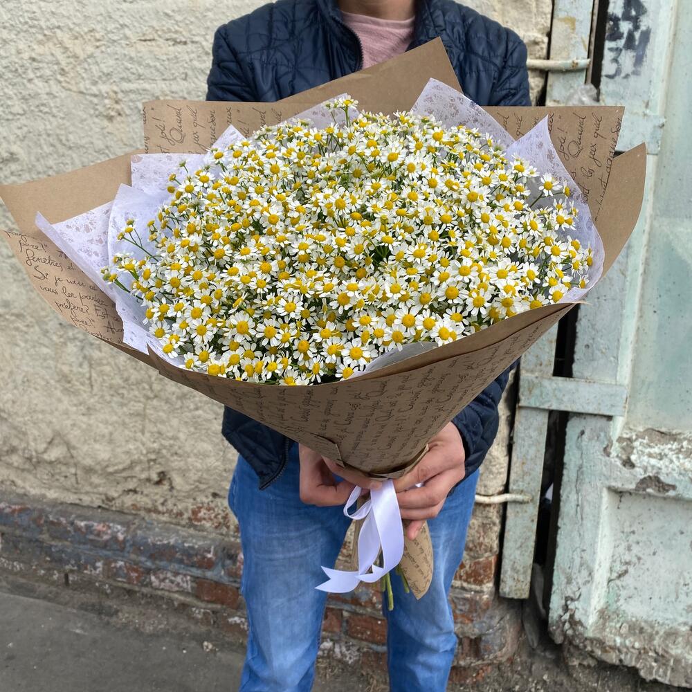 Ромашка ромашка