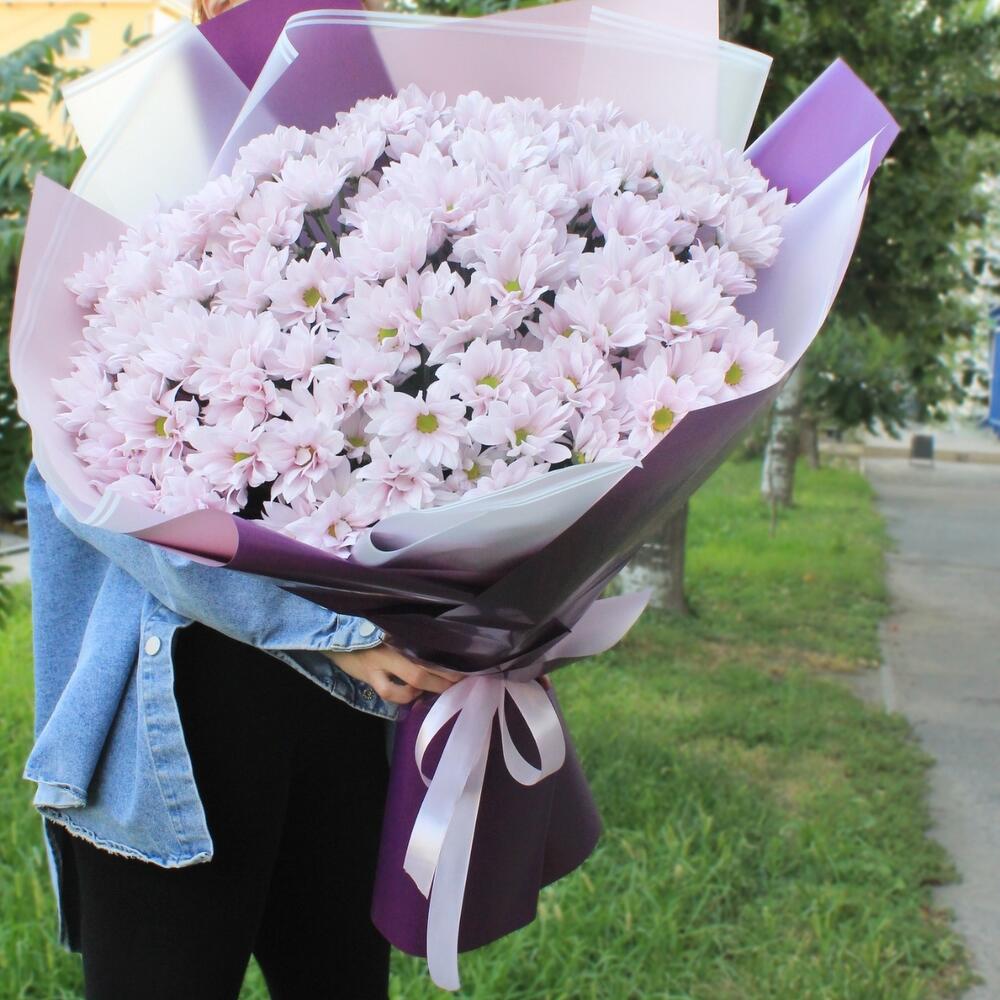 Розовые ромашки