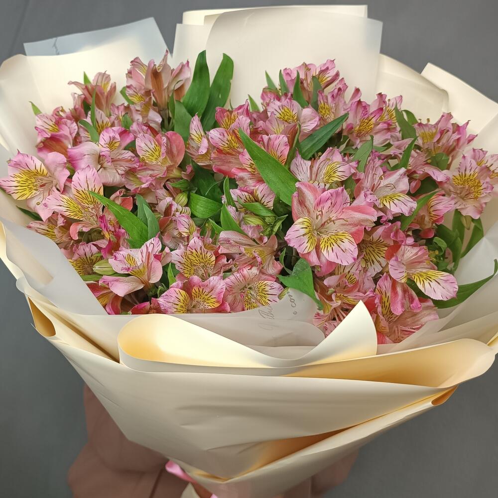 Alstroemeria 17