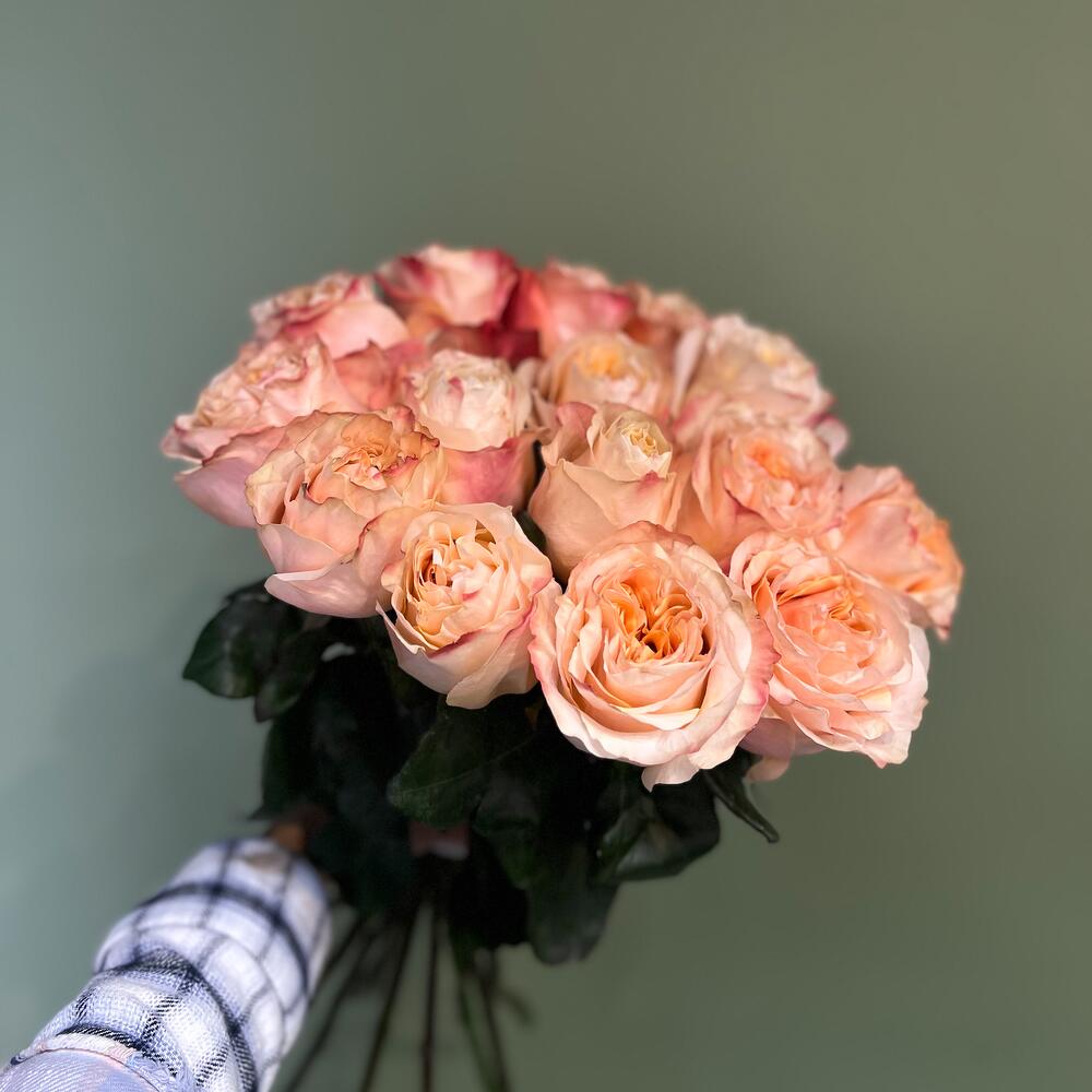 15 пионовидных роз Princess Crown