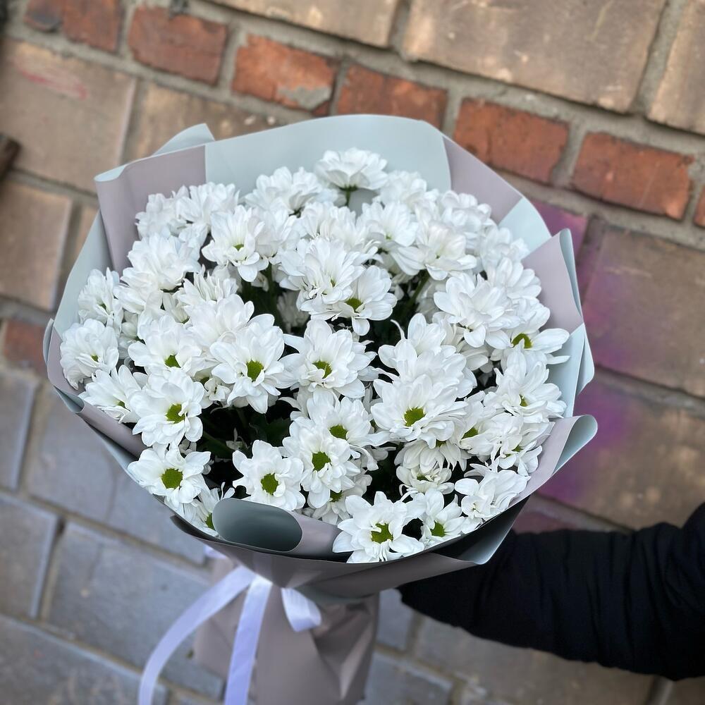 Белая кустовая хризантема