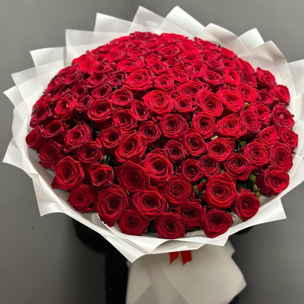 101 Rose Ekvador