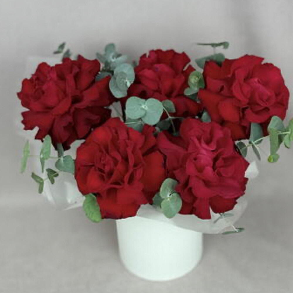 5 французских красных роз в шляпной коробке🌹