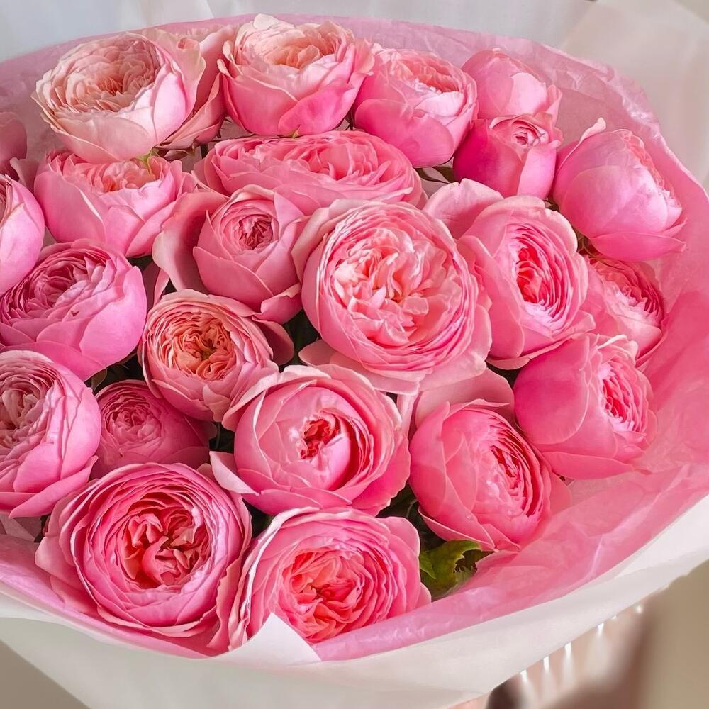 Розовая любовь💞🎀😘Букет кустовых пионовидных роз «Сильва пинк»🌸🎀💖