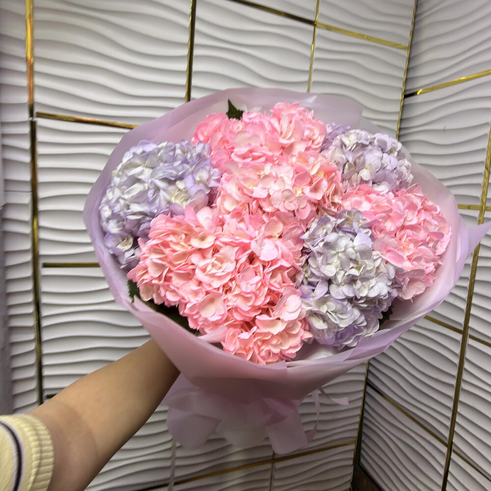 Гортензия 💜🩷