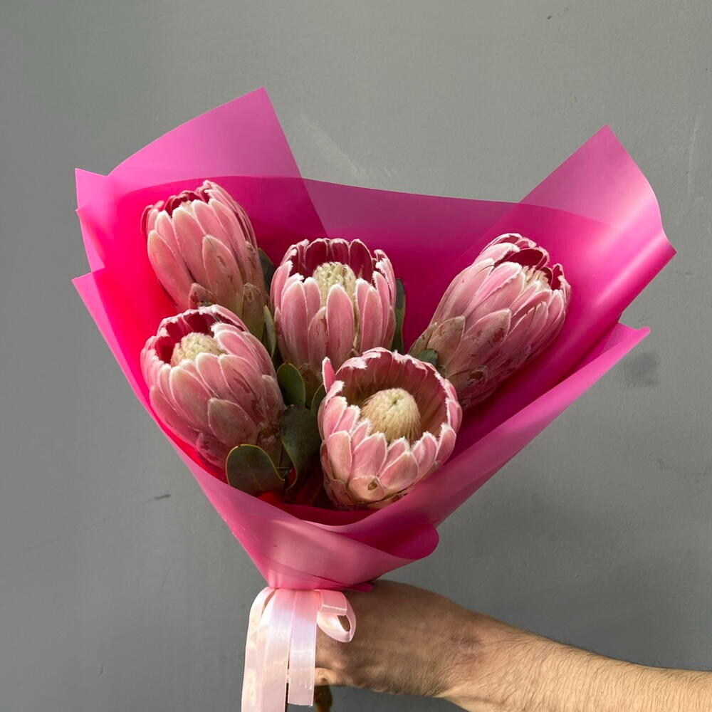 Протея в яркой упаковке 🌺