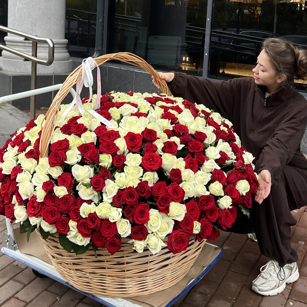 Корзина из 501 красных и белых роз