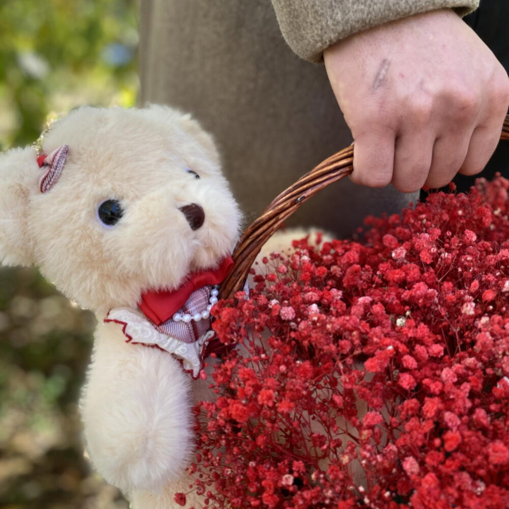 Подарок для нее ️🐻Гипсофила + мишка