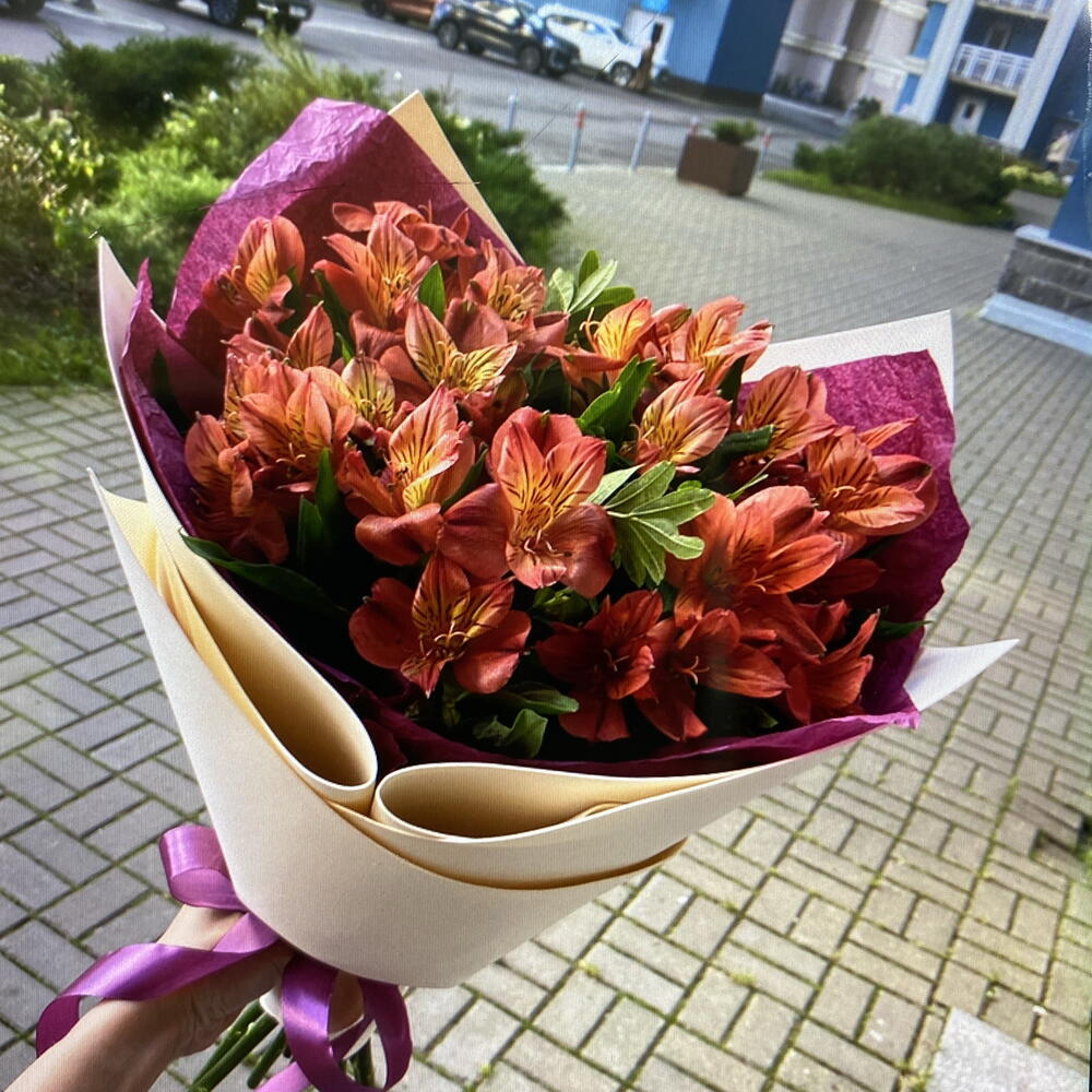 Ягодные альстромерии