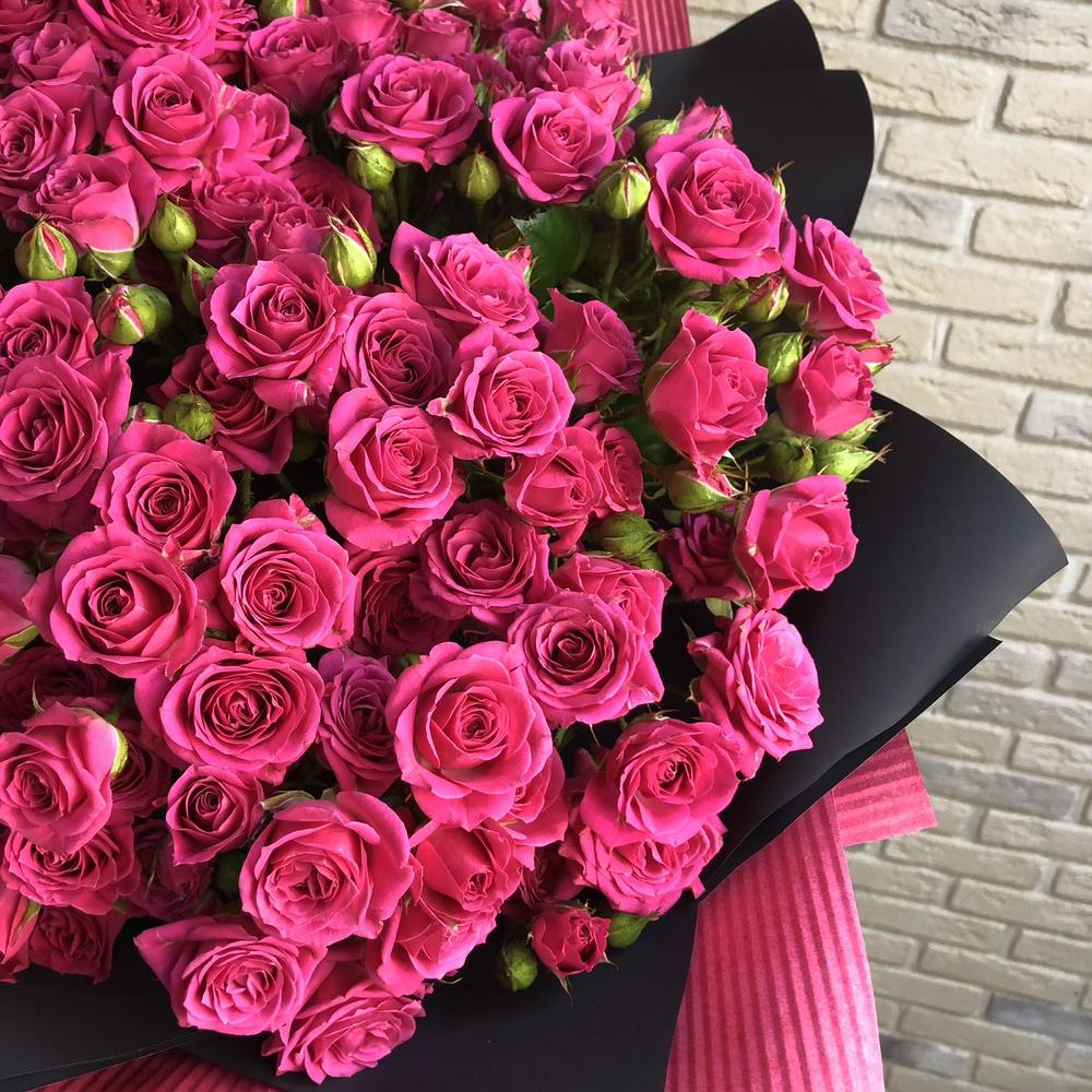Pink   black