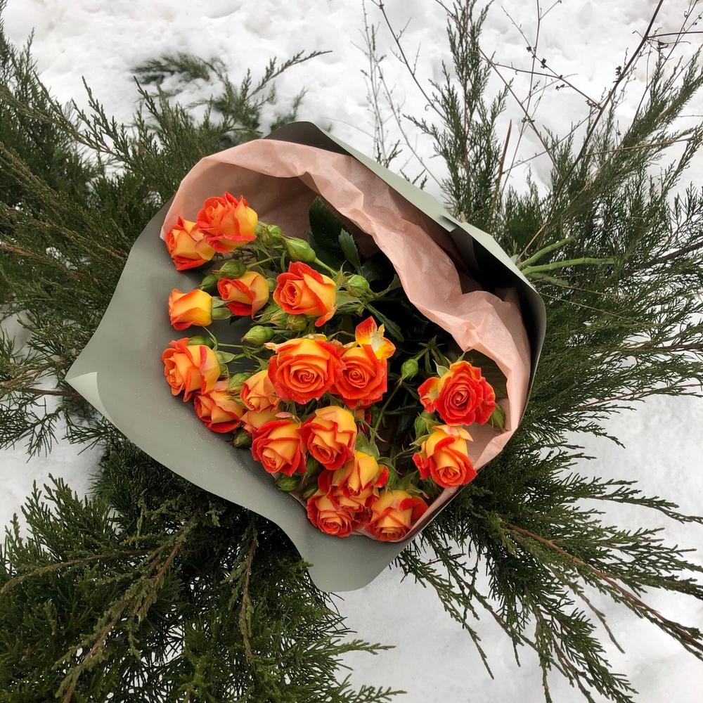 Солнечные блики