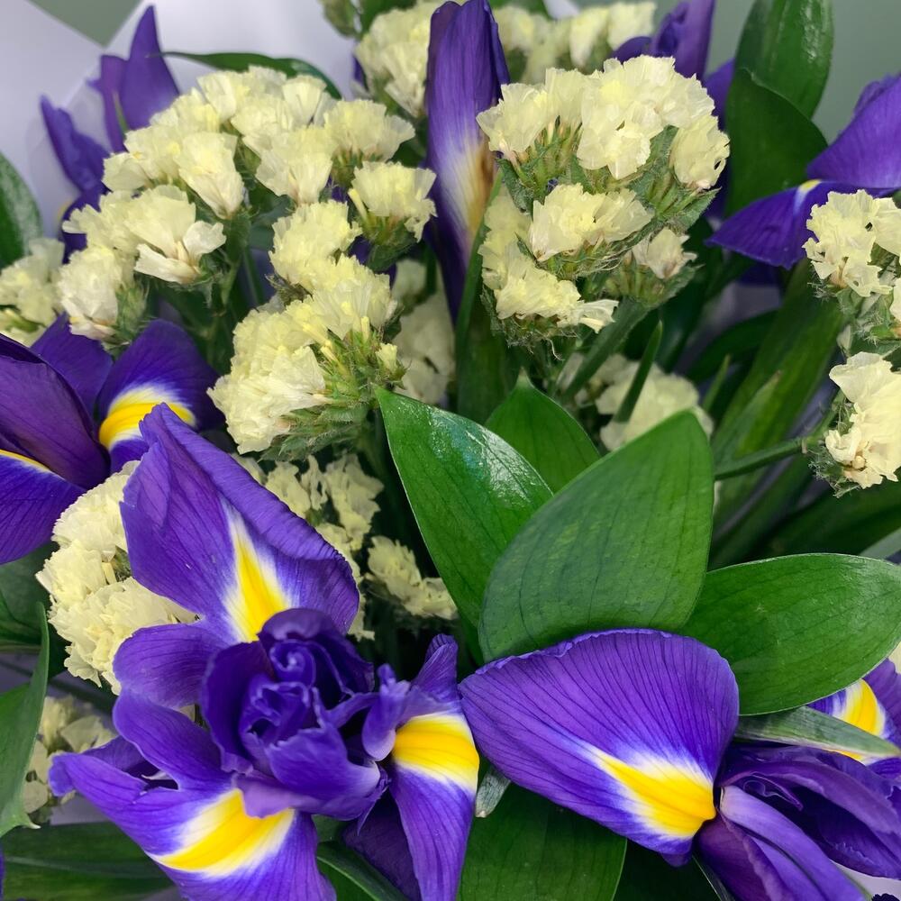 Ирис 💜