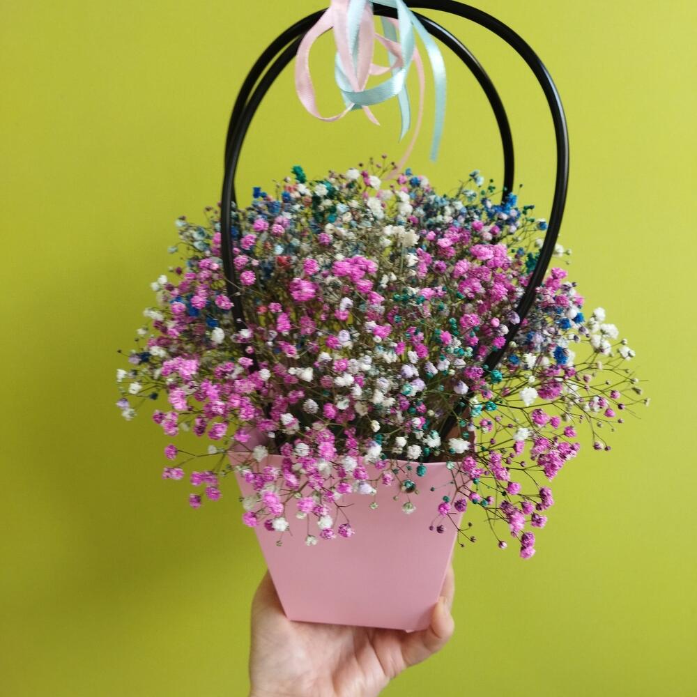 Gypsophila in a box