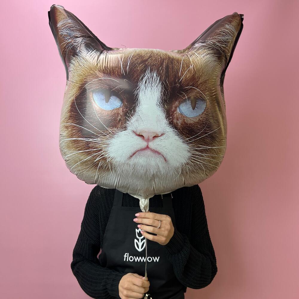 Кошечка сердитая