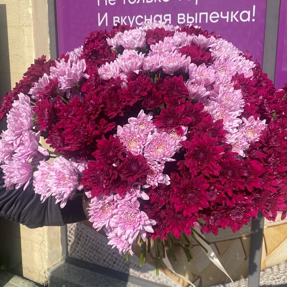 Облако хризантем