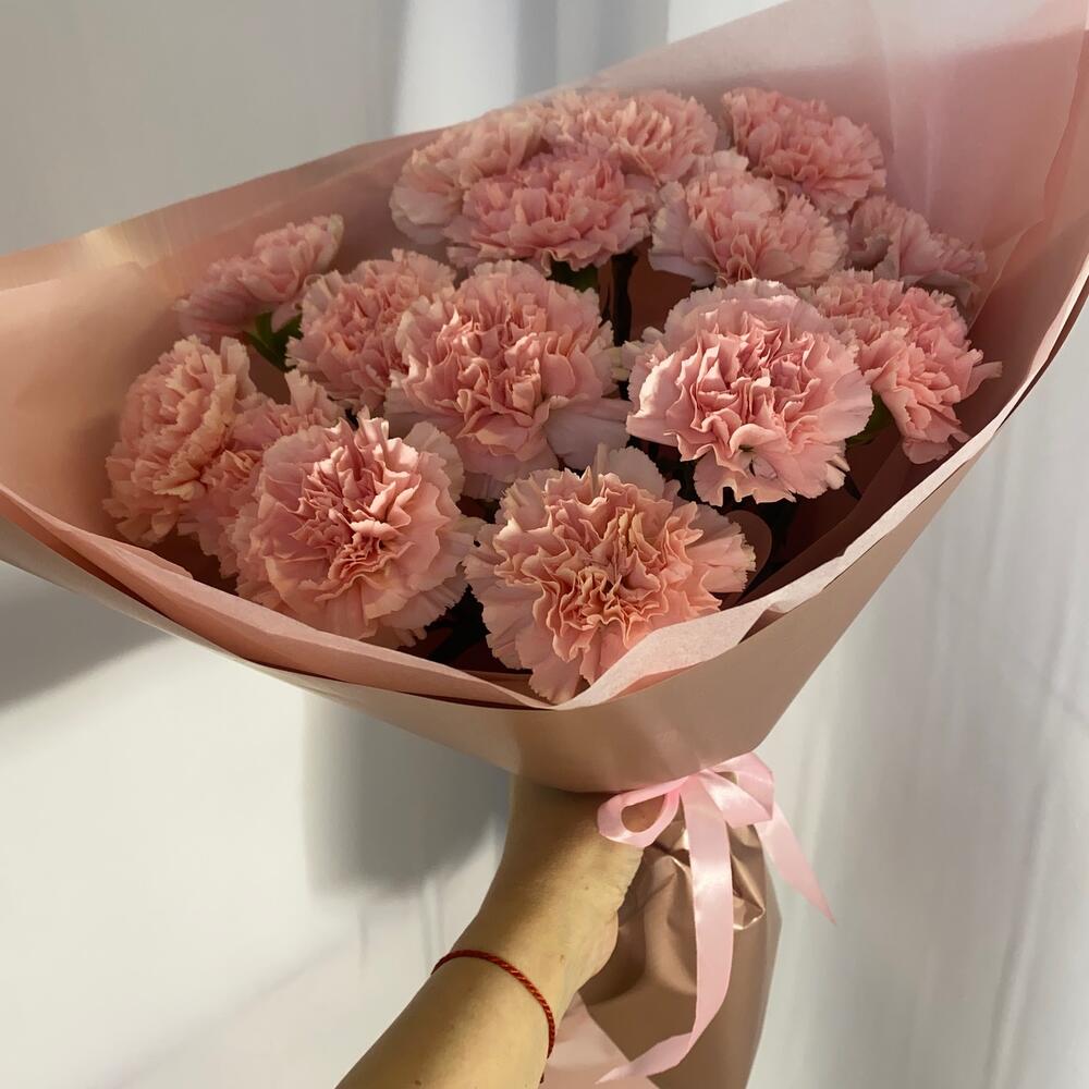 Моно из розовых диантусов