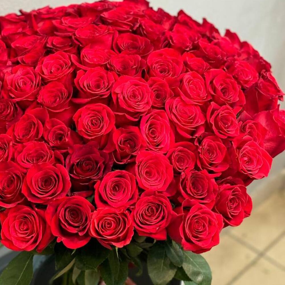 101 бордовая роза🌹