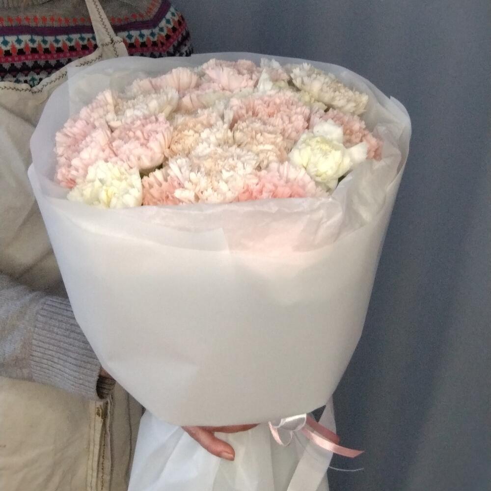 Моно из гвоздик (диантус)